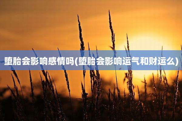 堕胎会影响感情吗(堕胎会影响运气和财运么)