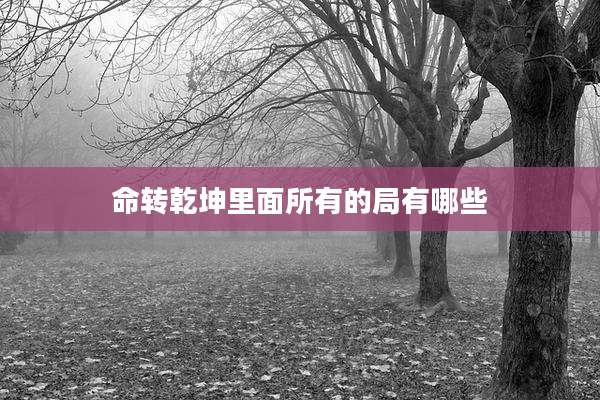 命转乾坤里面所有的局有哪些