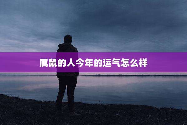 属鼠的人今年的运气怎么样