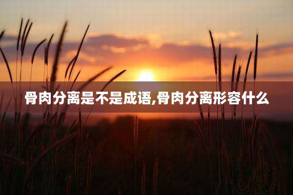 骨肉分离是不是成语,骨肉分离形容什么