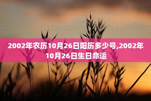 2002年农历10月26日阳历多少号,2002年10月26日生日命运