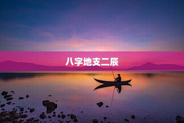 八字地支二辰