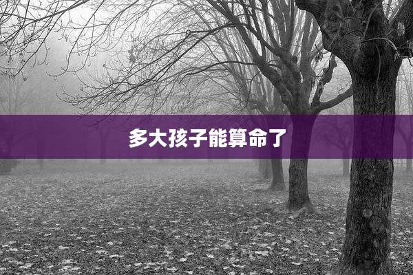 多大孩子能算命了