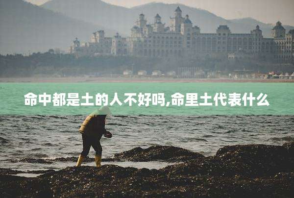 命中都是土的人不好吗,命里土代表什么