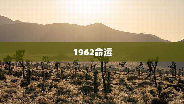 1962命运