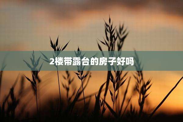 2楼带露台的房子好吗