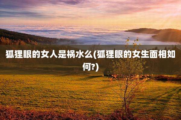 狐狸眼的女人是祸水么(狐狸眼的女生面相如何?)