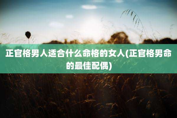 正官格男人适合什么命格的女人(正官格男命的最佳配偶)