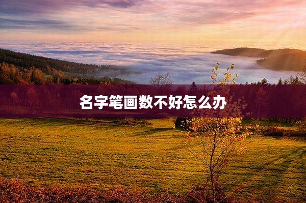 名字笔画数不好怎么办