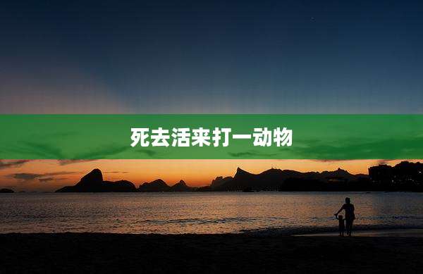 死去活来打一动物