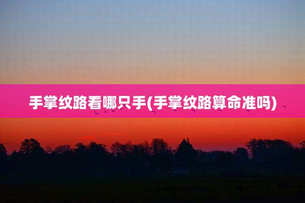 手掌纹路看哪只手(手掌纹路算命准吗)