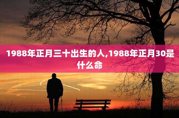 1988年正月三十出生的人,1988年正月30是什么命
