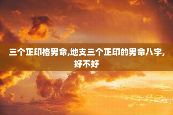 三个正印格男命,地支三个正印的男命八字,好不好