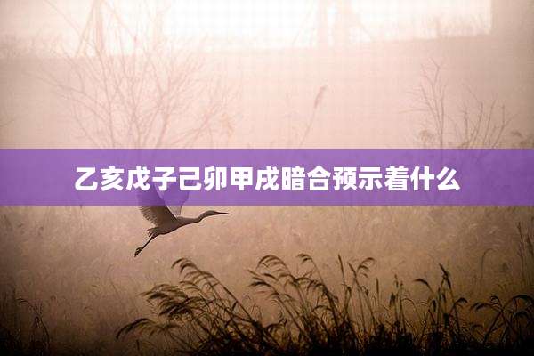 乙亥戊子己卯甲戌暗合预示着什么