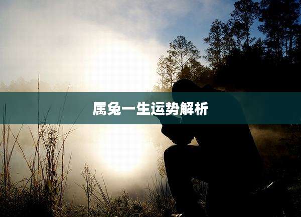 属兔一生运势解析