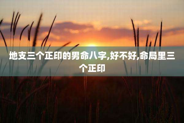 地支三个正印的男命八字,好不好,命局里三个正印