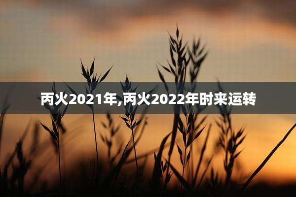 丙火2021年,丙火2022年时来运转