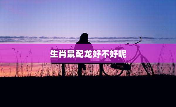 生肖鼠配龙好不好呢