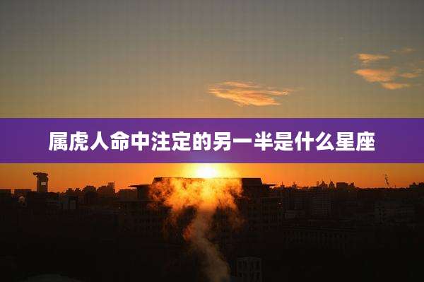 属虎人命中注定的另一半是什么星座
