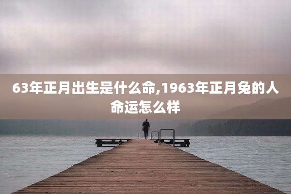 63年正月出生是什么命,1963年正月兔的人命运怎么样