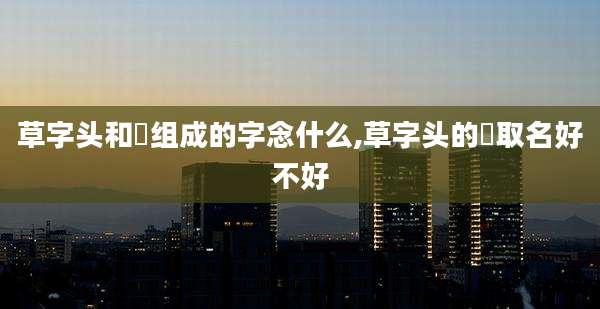 草字头和菓组成的字念什么,草字头的葰取名好不好