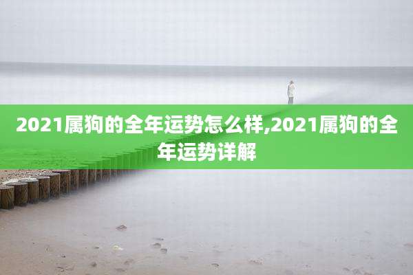 2021属狗的全年运势怎么样,2021属狗的全年运势详解