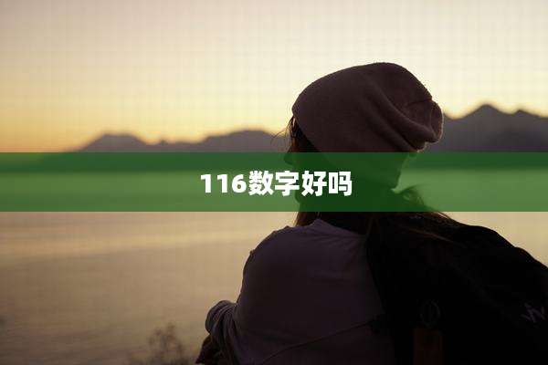 116数字好吗