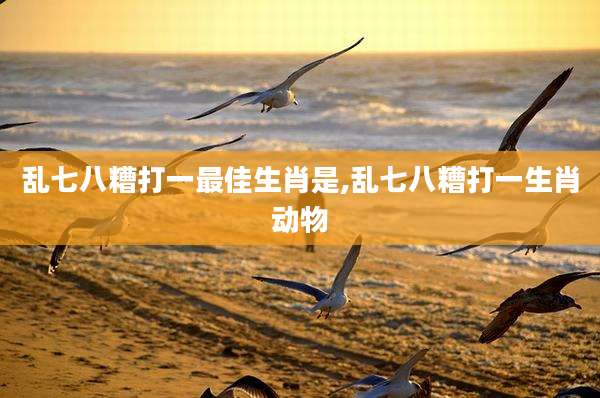 乱七八糟打一最佳生肖是,乱七八糟打一生肖动物