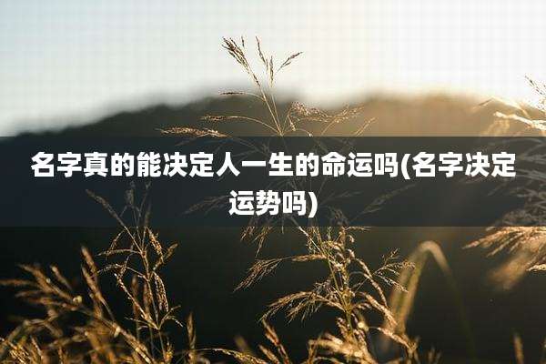 名字真的能决定人一生的命运吗(名字决定运势吗)