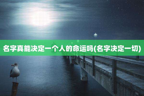 名字真能决定一个人的命运吗(名字决定一切)