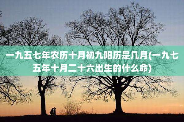 一九五七年农历十月初九阳历是几月(一九七五年十月二十六出生的什么命)