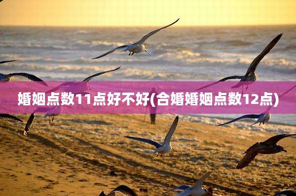 婚姻点数11点好不好(合婚婚姻点数12点)