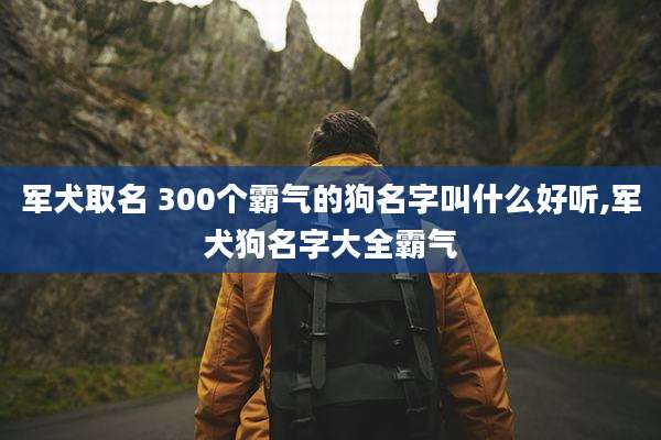 军犬取名 300个霸气的狗名字叫什么好听,军犬狗名字大全霸气