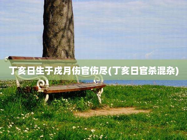 丁亥日生于戌月伤官伤尽(丁亥日官杀混杂)