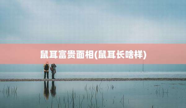 鼠耳富贵面相(鼠耳长啥样)