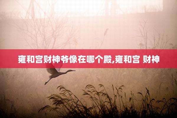 雍和宫财神爷像在哪个殿,雍和宫 财神