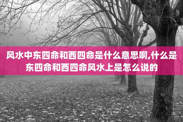 风水中东四命和西四命是什么意思啊,什么是东四命和西四命风水上是怎么说的