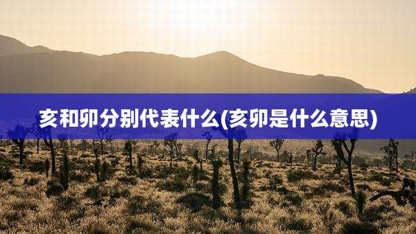 亥和卯分别代表什么(亥卯是什么意思)