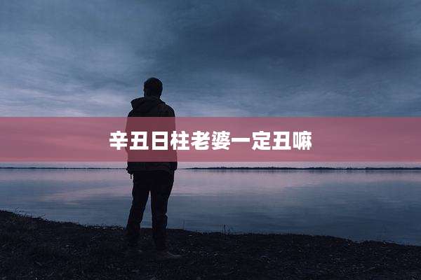 辛丑日柱老婆一定丑嘛