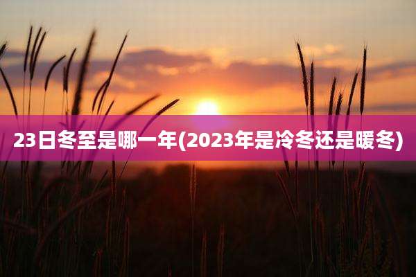 23日冬至是哪一年(2023年是冷冬还是暖冬)