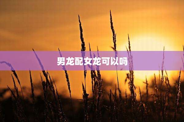 男龙配女龙可以吗