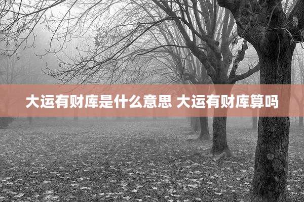 大运有财库是什么意思 大运有财库算吗