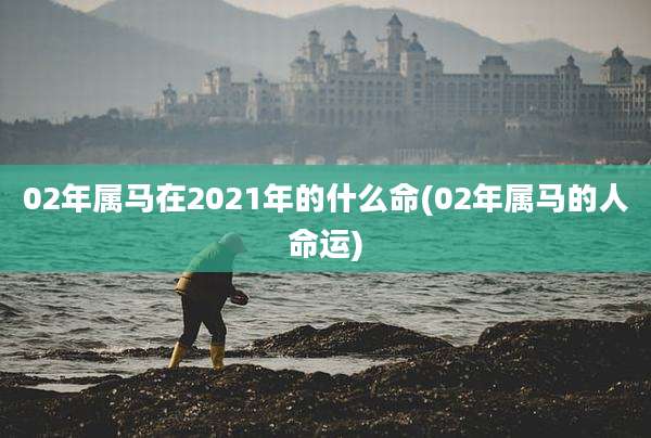 02年属马在2021年的什么命(02年属马的人命运)