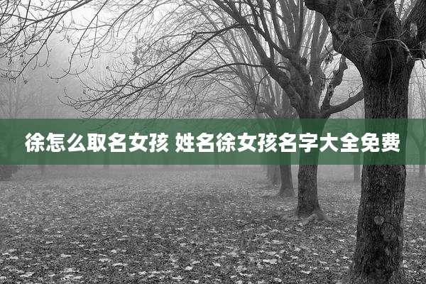徐怎么取名女孩 姓名徐女孩名字大全免费