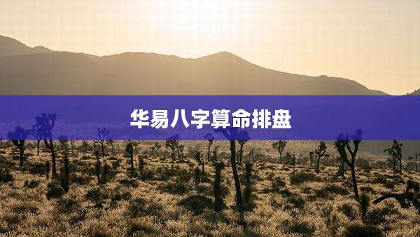 华易八字算命排盘