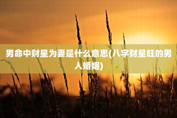 男命中财星为妻是什么意思(八字财星旺的男人婚姻)