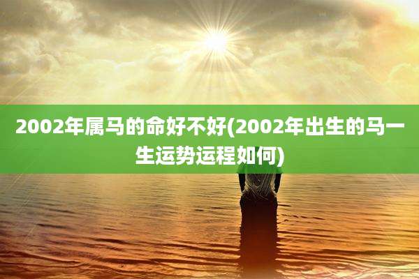 2002年属马的命好不好(2002年出生的马一生运势运程如何)