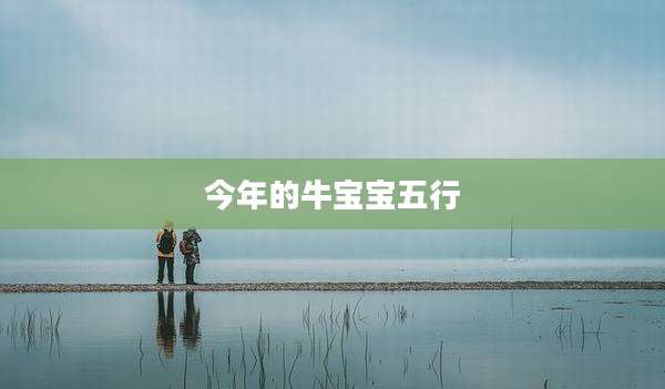 今年的牛宝宝五行
