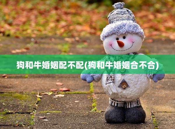 狗和牛婚姻配不配(狗和牛婚姻合不合)