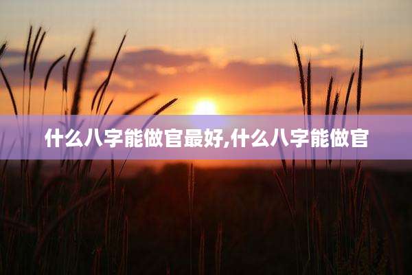 什么八字能做官最好,什么八字能做官